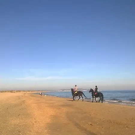 Comme A La Maison * Marseillan (Herault)