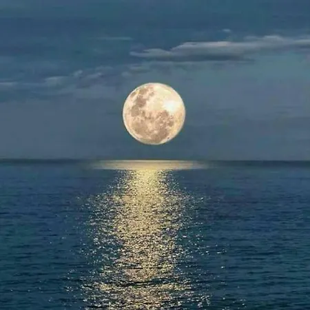 Apartament Comme A La Maison Marseillan (Herault)