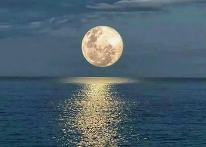 Apartman Comme A La Maison Marseillan