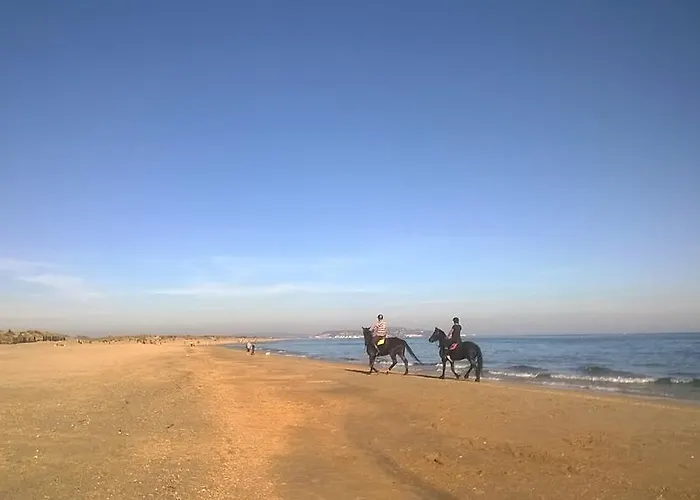Comme A La Maison * Marseillan (Herault)